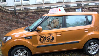 Fake Driving School csöcsö piercinges gót bige popóba kéri