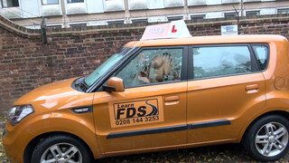 Fake Driving School brazil kisasszony szarul vezet, de dugni azt nagyon tud